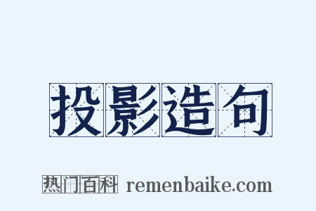 投影造句是什么意思的图片